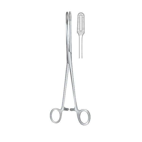 BERGMANN-FOERSTER, Swab Forceps, Straight, 24cm