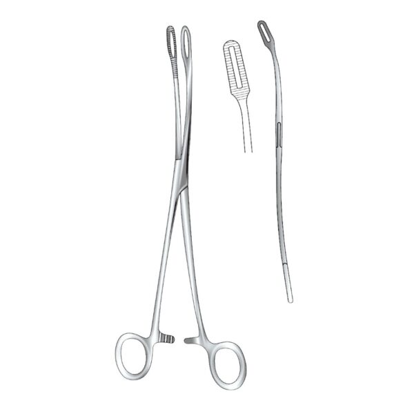 BERGMANN-FOERSTER, Swab Forceps, Curved, 25cm